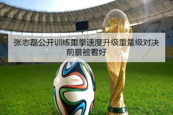 张志磊公开训练重拳速度升级重量级对决前景被看好